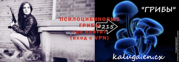 шишки Алзамай