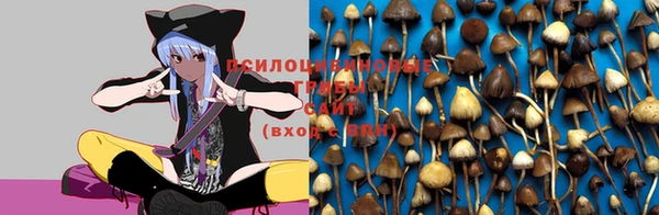 шишки Алзамай